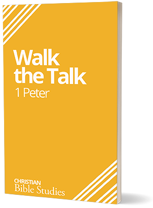 Books by Steve May - Walk the Talk