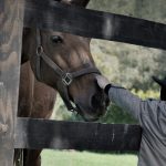 Let your gentleness be known