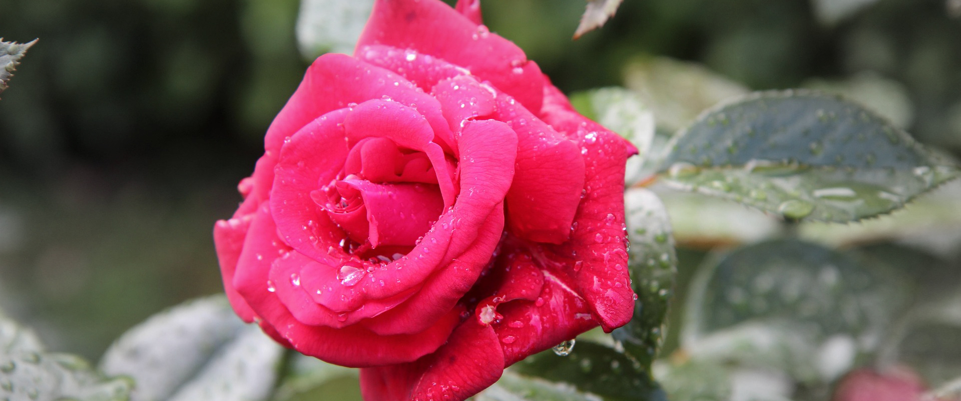 Now is the Time of God's Favor