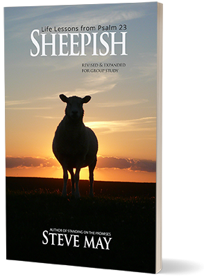 Sheepish by Steve May